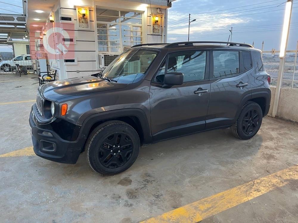 جيب رينيجيد